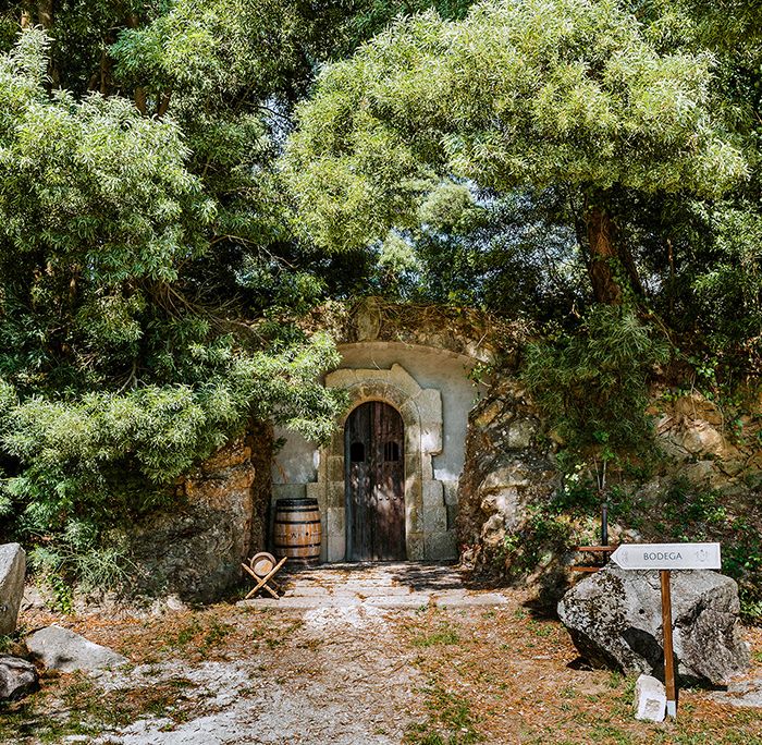 bodega excavada en la tierra pazo