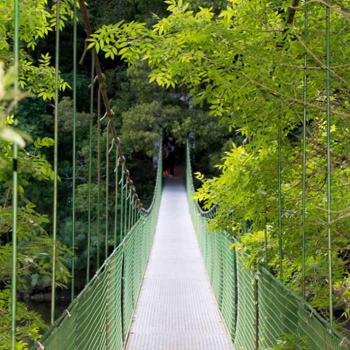 rios y puentes en la naturaleza gallega