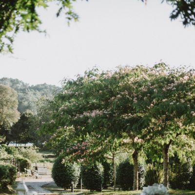 Vistas A Los Jardines De Pazo Do Tambre